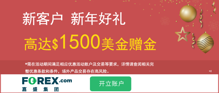 美国嘉盛集团